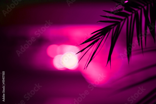 Coconut palm tree leaf silhouette on blurred pink background with copyspace