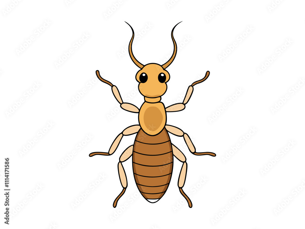 Fototapeta premium cockroach isolated