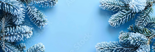 beautiful New Year background, with snow-covered fir branches, top view