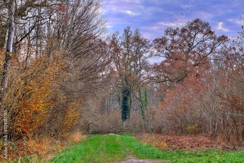 Paysage aux couleurs d'automne.