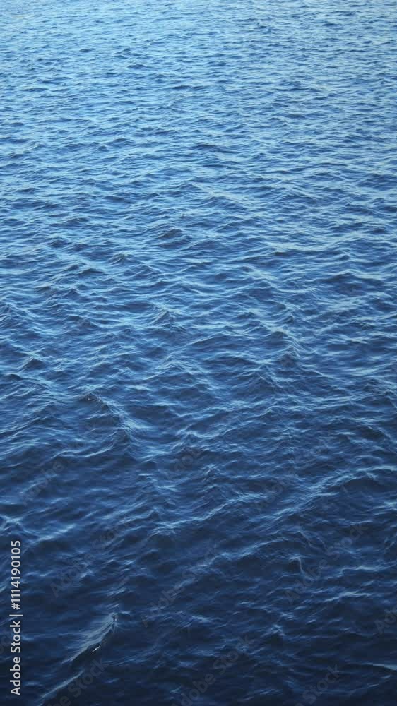 Serene Blue Waters A Calm Lake Surface That Exudes Tranquility and Peacefulness Serene Blue Waters A Calm Lake Surface That Exudes Tranquility and Peacefulness