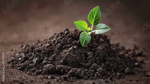 Organic Soil Fertilizer Sidling on Dark Background photo