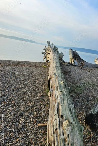 a view of the sea coast