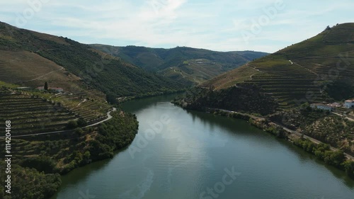 Wallpaper Mural Douro Valley and Douro River on Sunny Day. Green Hills, Vineyards and Terraces. Portugal. Aerial Drone Shot. Moving Forward and Upwards Torontodigital.ca