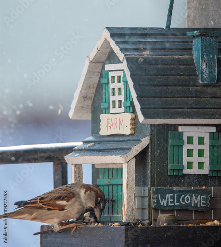 Un moineau picore des graines en hiver près d'une cabane à oiseaux  photo