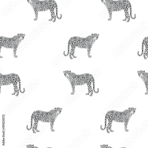 Black and white seamless pattern with leopards