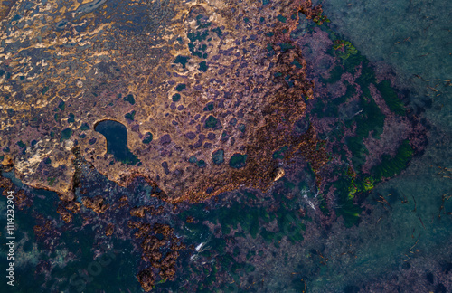 Aerial View of Rocky Shoreline on West Coast of Vancouver Island photo