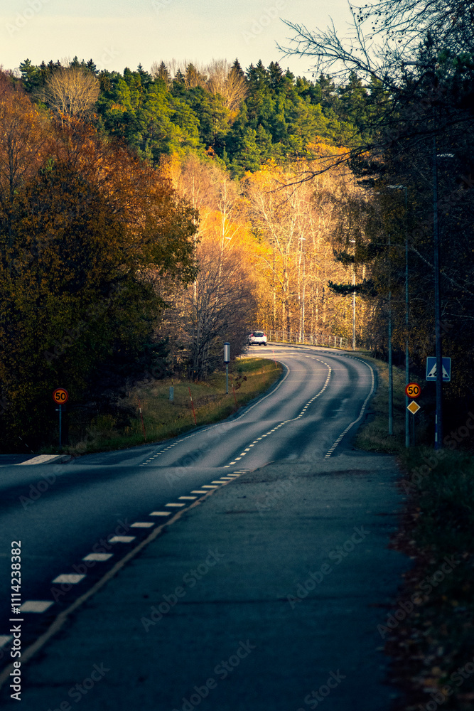 Obraz premium Turn of asphalt road against autumn forest background