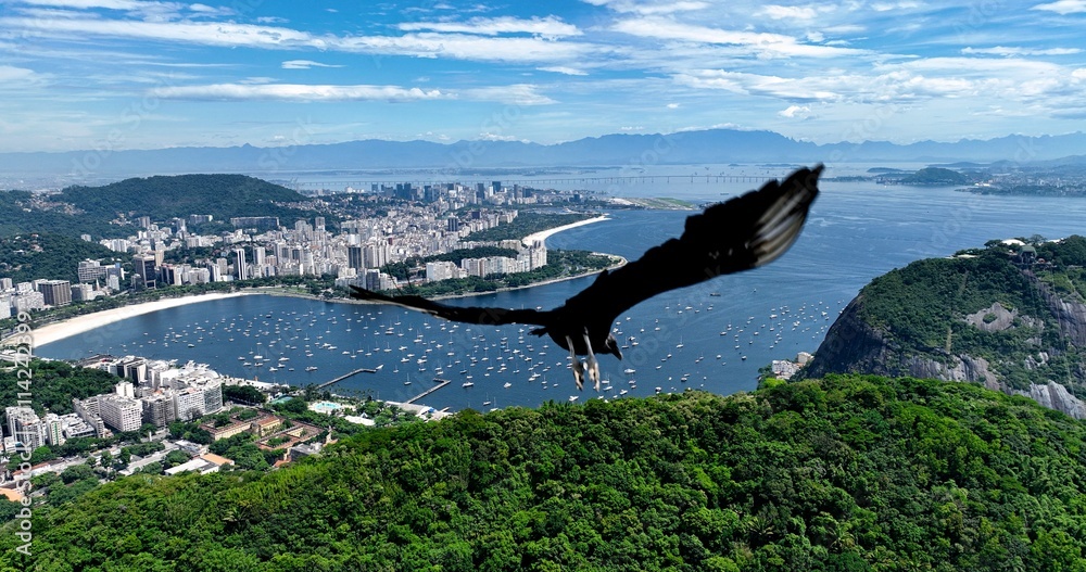 Fototapeta premium Panning wide view of downtown city of Rio de Janeiro Brazil. Tourism landmark. Offices buildings exterior and harbor zone near Guanabara bay. 