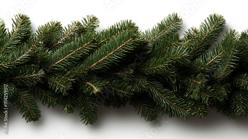 Lush green fir garland on white background.