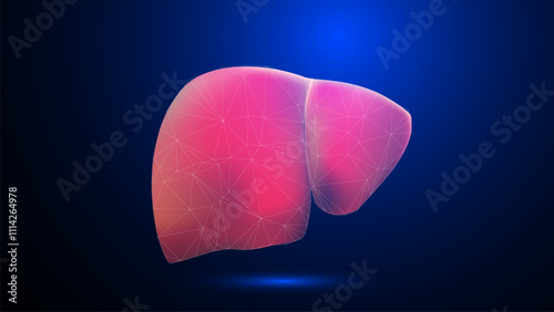 Vector illustration Human liver anatomy on blue background