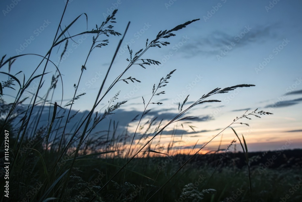 Silhouetted grass blades sway gently in the twilight, a serene sunset painting the horizon with soft, pastel hues. Silhouetted grass blades sway gently in the twilight, a serene sunset painting the horizon with soft, pastel hues.