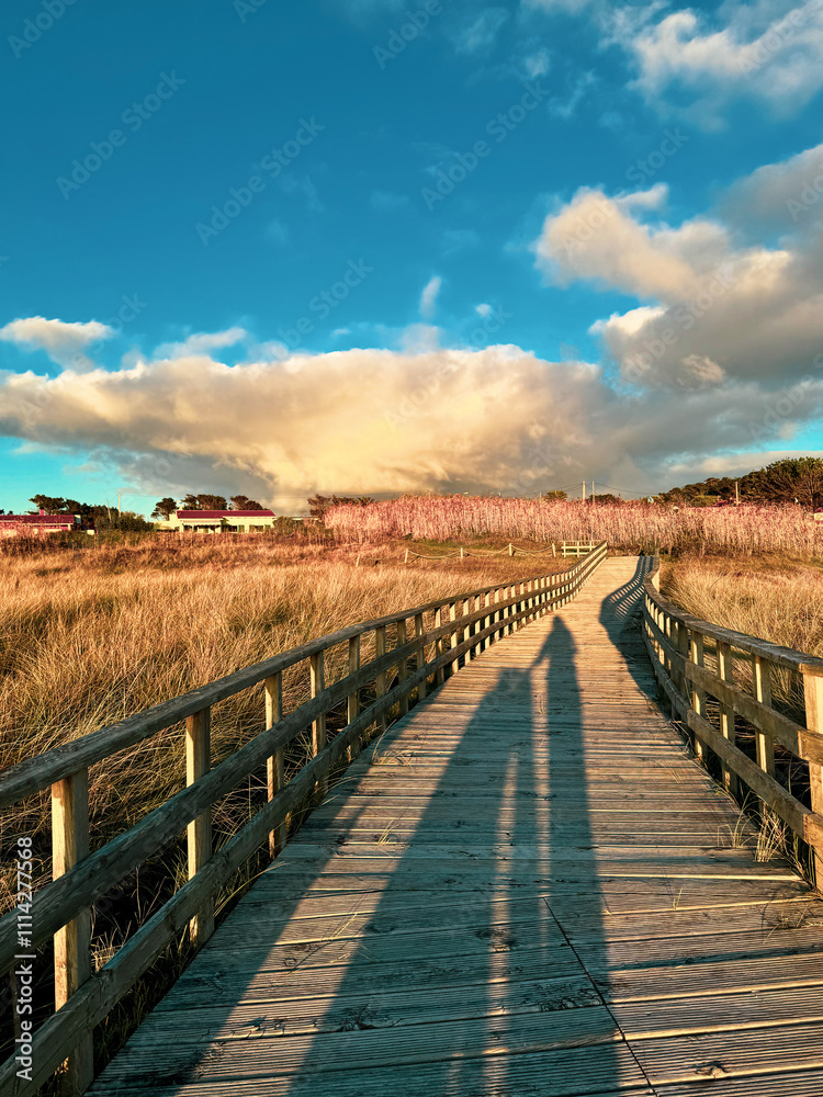 Fototapeta premium Beautiful road near beach in sunset