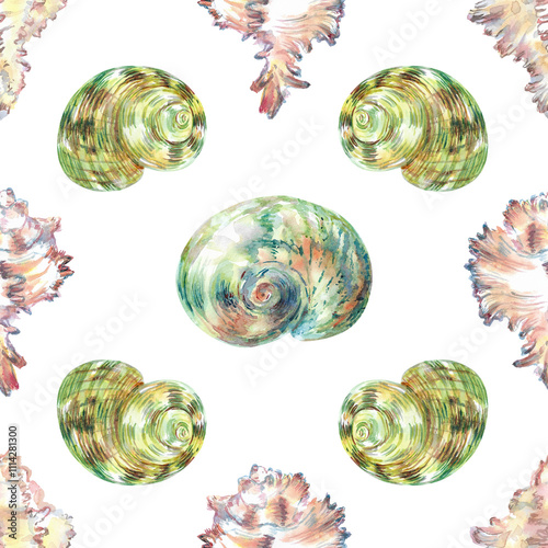 Shell pattern underwater world in watercolor. Murex Endivia, Conch Snail, Turbo shell, Moon snail sea shells with different form. Sea snails can be used as a sticker, a printed postcard, poster for a