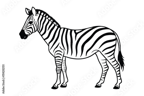 Zebra line art vector art illustration