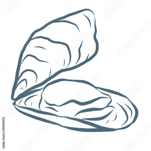 Line Art Illustration of Oyster. Vector Graphic.