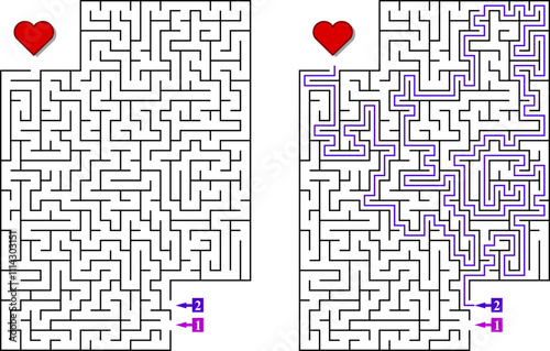 Labyrinth with several entrances. Find the right way and reach the exit of the maze. Mental educational game template with clue. Vector illustration