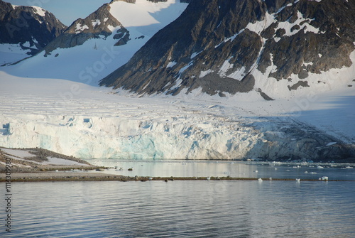 Magdalena fjord glacier  photo