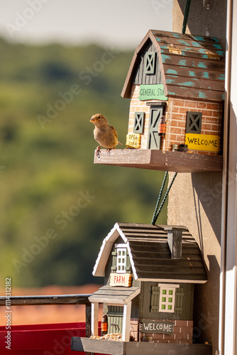 des moineaux mangent des graines dans des cabanes à oiseaux décorées en bois accrochées sur un bord de fenêtre photo