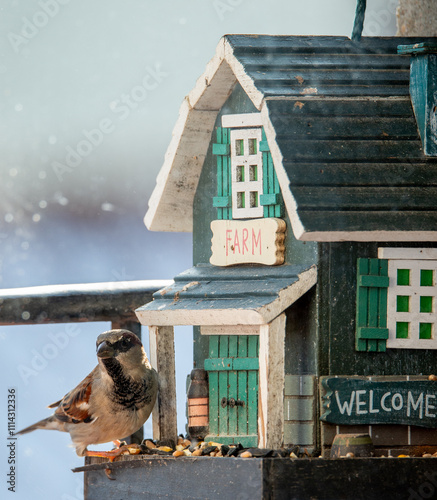 des moineaux mangent des graines dans des cabanes à oiseaux décorées en bois accrochées sur un bord de fenêtre photo