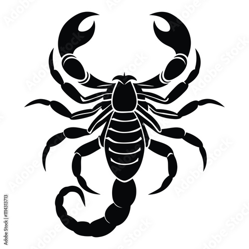 scorpion silhouette isolated on white background