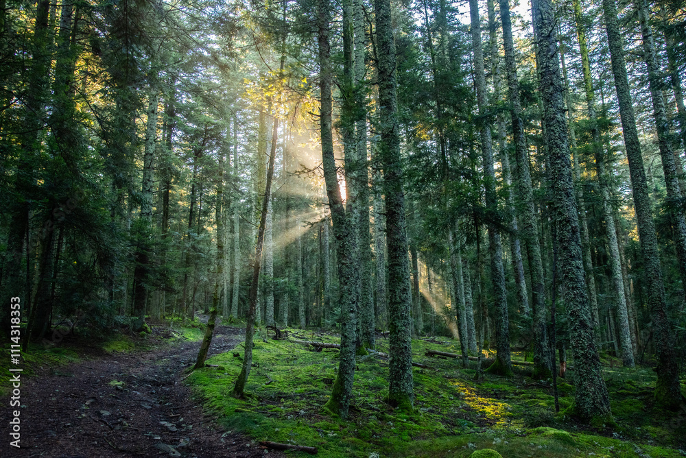 Obraz premium Paysages et natures mortes en automne avec vue du ciel