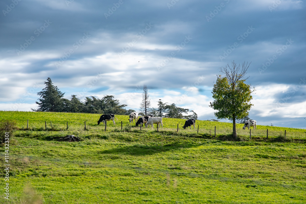 Fototapeta premium Paysages et Natures Mortes en automne 