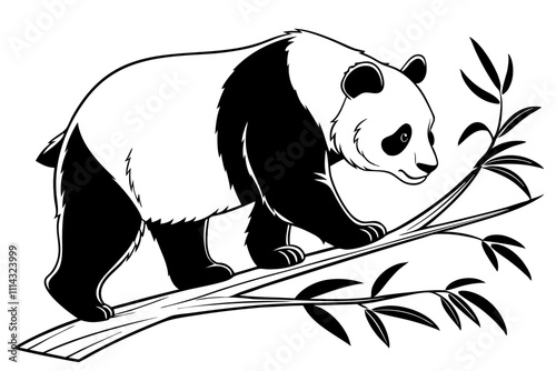 panda bear on a branch