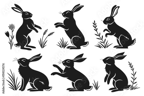 set of rabbits