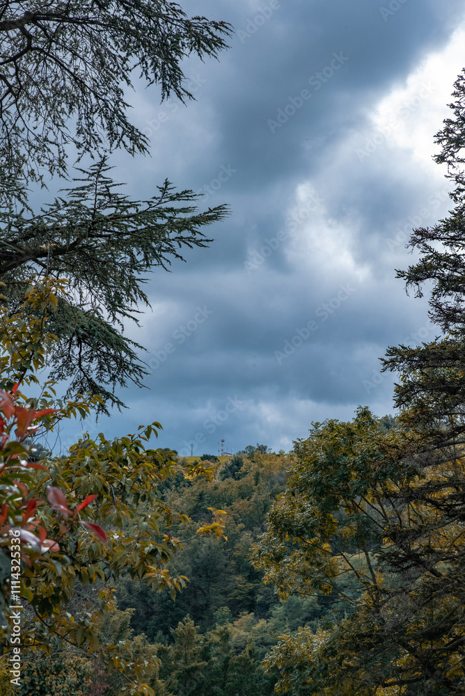 Paysages et natures mortes en automne avec vue du ciel 
