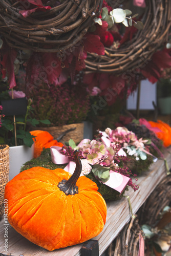 Paysages et Natures Mortes en automne 