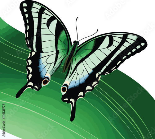 butterfly spread wings and sitting illustration