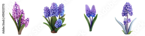 3d render hyacinth isolated on transparent background Cartoon Illustration in plastic style
