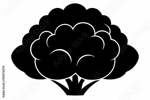 cauliflower silhouette vector illustration,Cauliflower Silhouette Vegetable Vector Art on white background.