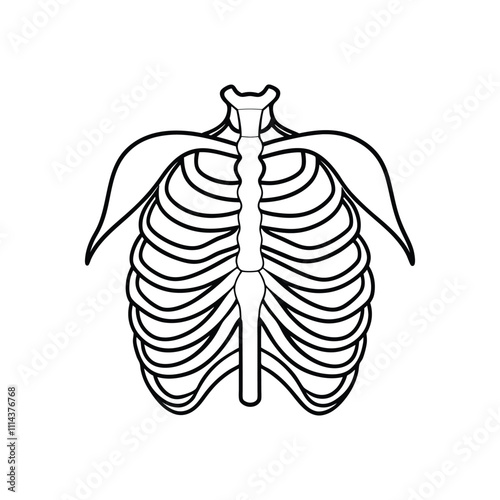 Human Rib Cage Skeleton Icon Vector Illustration on White Background