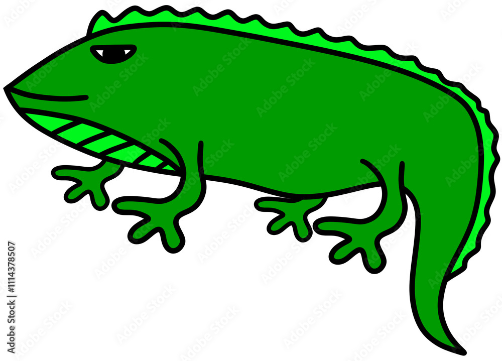 Obraz premium Iguana