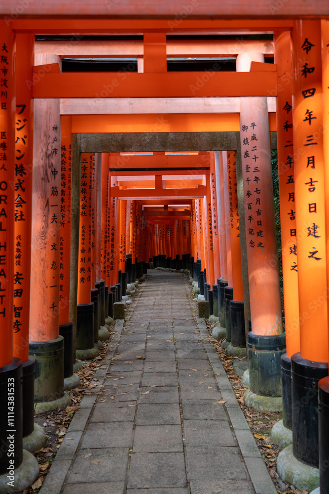 Walking through the red traditional gates in Kyoto, Japan Walking through the red traditional gates in Kyoto, Japan