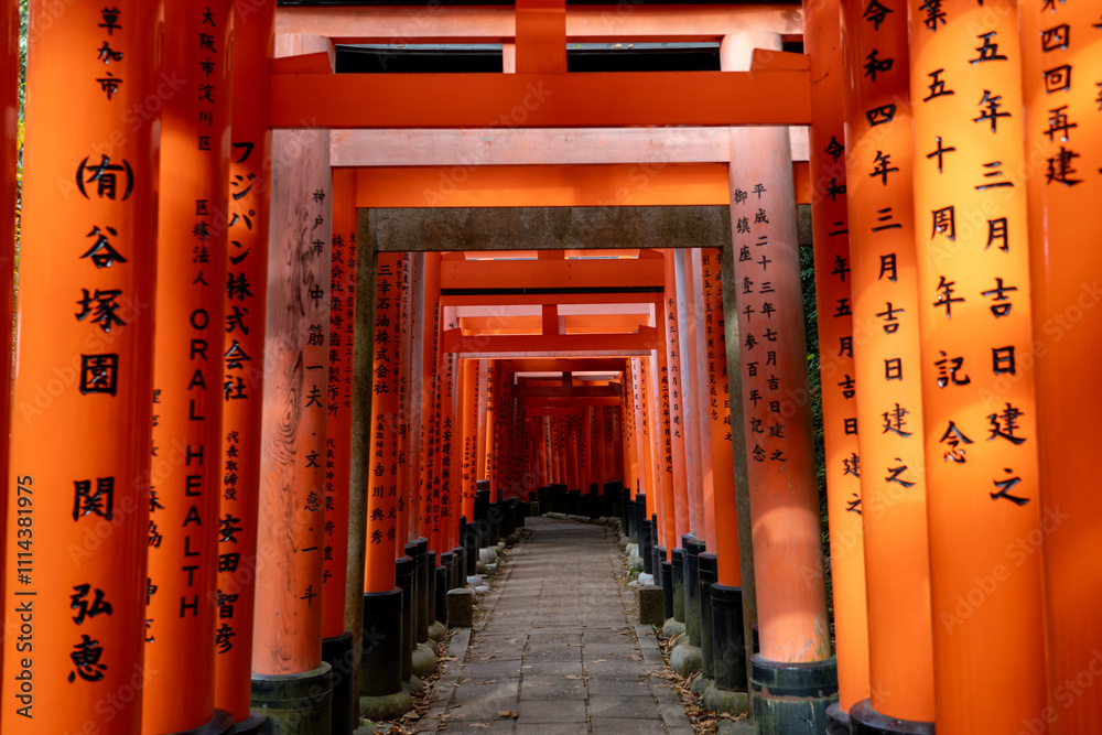 Close up view of the red traditional gates in Kyoto, Japan Close up view of the red traditional gates in Kyoto, Japan