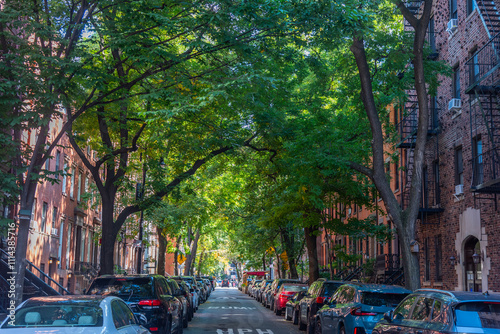 Green trees in a picturesque street in Greenwich Village