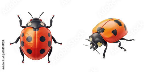 3d render ladybug isolated on transparent background Cartoon Illustration in plastic style