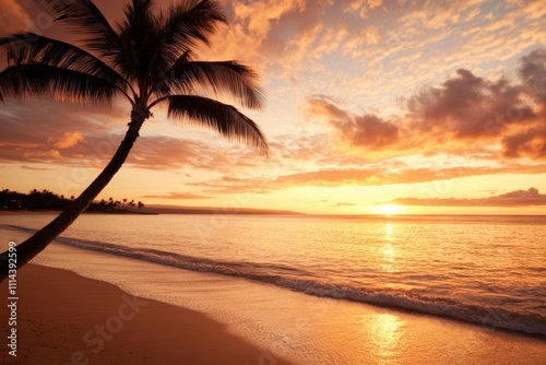 Tropical Beach Sunset Palm Tree Silhouette