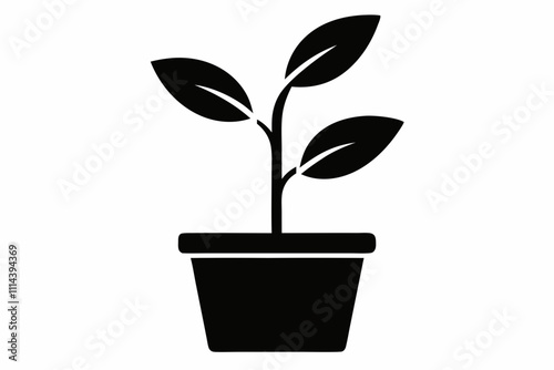 Organic plant icon. Flat design illustration ,Planting seed sprout in ground. Infographic silhouette sequence grow sapling. Flat icon seedling gardening tree. Vector illustration.