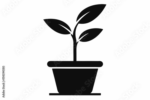 Organic plant icon. Flat design illustration ,Planting seed sprout in ground. Infographic silhouette sequence grow sapling. Flat icon seedling gardening tree. Vector illustration.