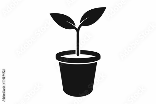 Organic plant icon. Flat design illustration ,Planting seed sprout in ground. Infographic silhouette sequence grow sapling. Flat icon seedling gardening tree. Vector illustration.