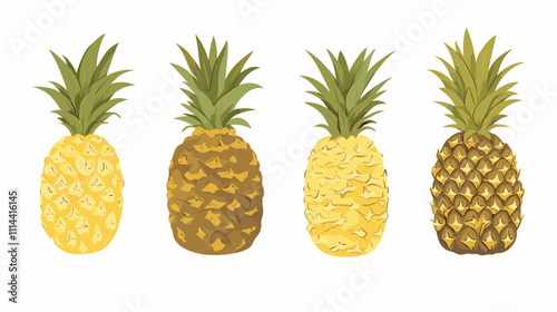 Set of pineapple ananas clipart isolated on white background. Fruit watercolor vector illustration of pineapples