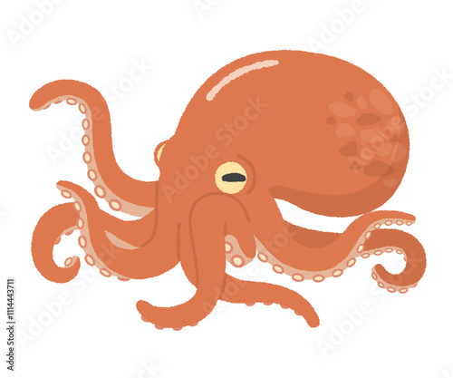 タコのイラスト