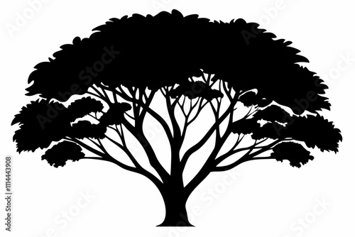 Simple Tree Canopy Silhouette Vector Art