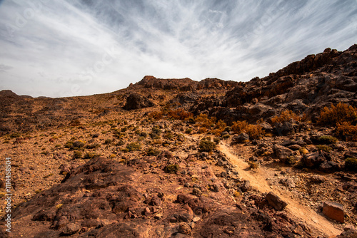 2024 03 13 Jebel Saghro Atlas path 70 photo