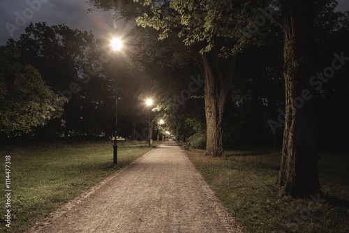 pusta aleja w parku nocą oświetlona latarniami photo