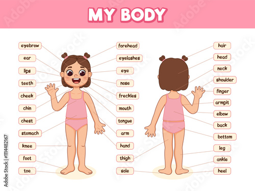 Human body parts for kids. Illustrated diagram of the anatomy of a girl. Cartoon style illustration. Anatomy poster with body parts name.